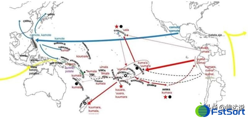 images/1679299179059sweet potatoes color soter.jpg